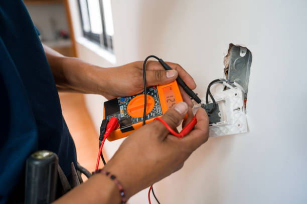 Best Local Electrician Companies  in Dansville, NY