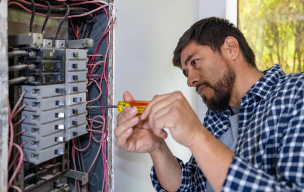 Best Electrician for Home Renovation  in Dansville, NY